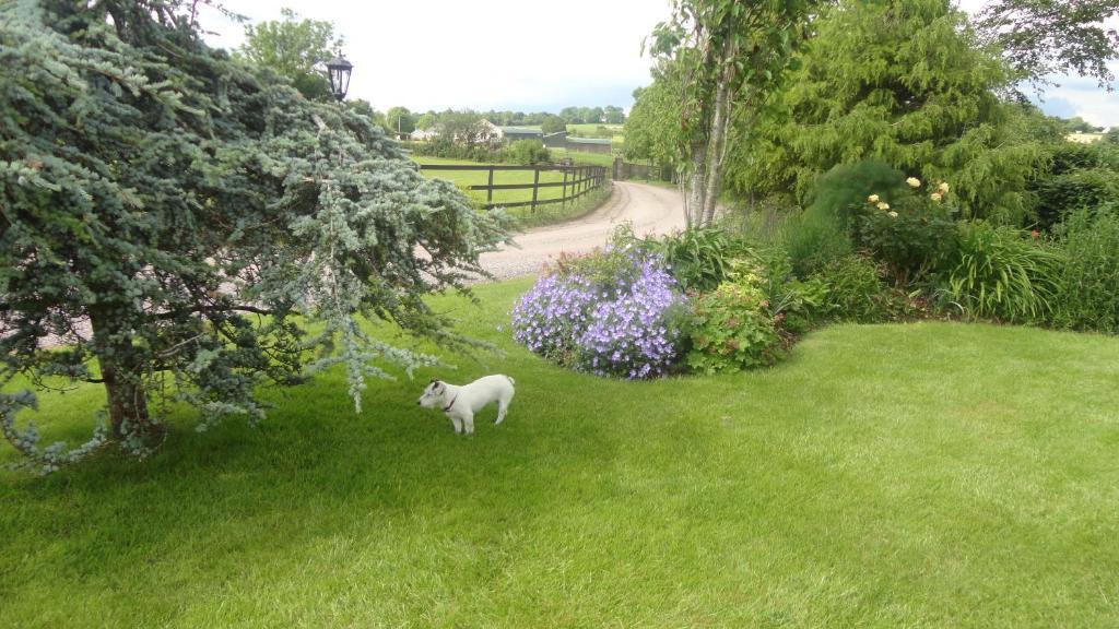 Westwood Country House บลาร์นีย์ ภายนอก รูปภาพ