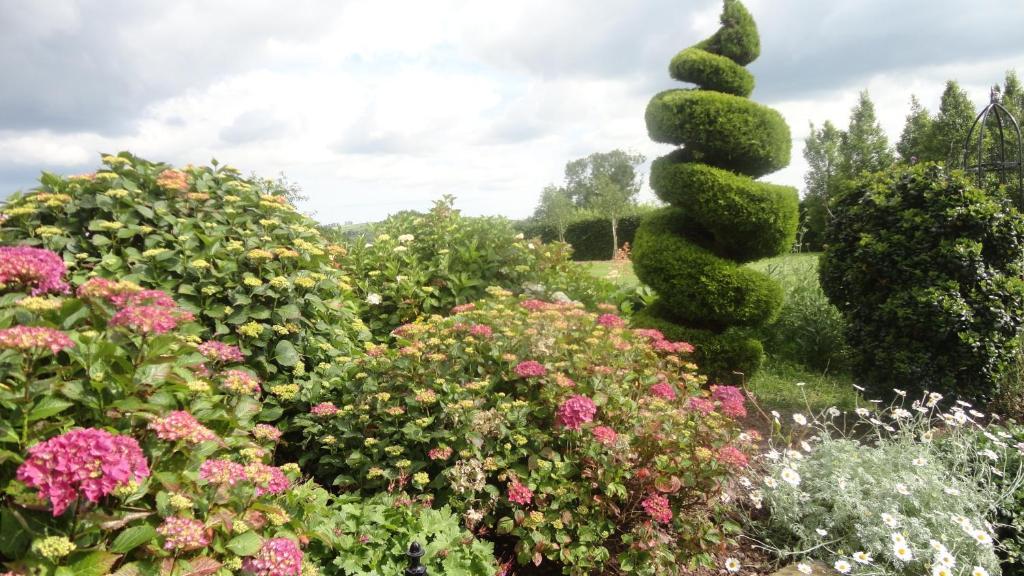 Westwood Country House บลาร์นีย์ ภายนอก รูปภาพ