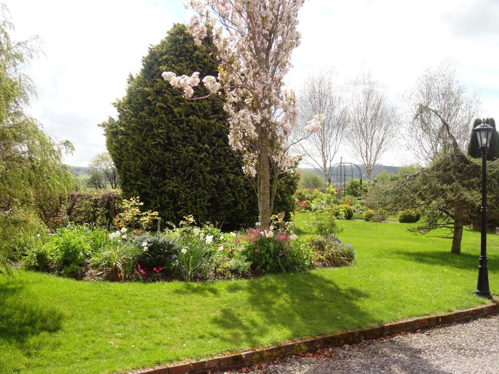 Westwood Country House บลาร์นีย์ ภายนอก รูปภาพ